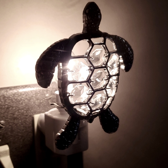 Brand New Turtle NITE Lite - Picture 5 of 7